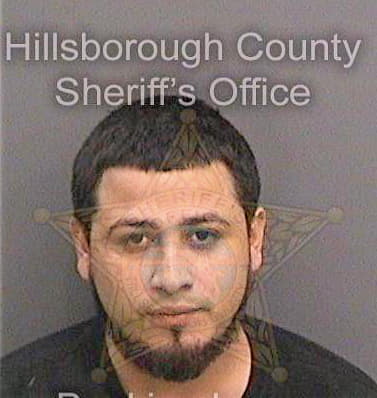 Castro Daniel - Hillsborough County, FL 