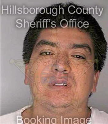 Regino Mario - Hillsborough County, FL 