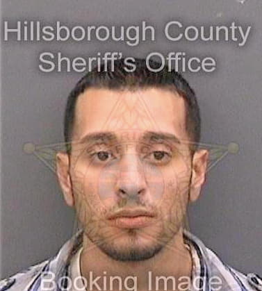 Castaneda Brian - Hillsborough County, FL 