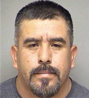 Conde Jose - Denton County, TX 