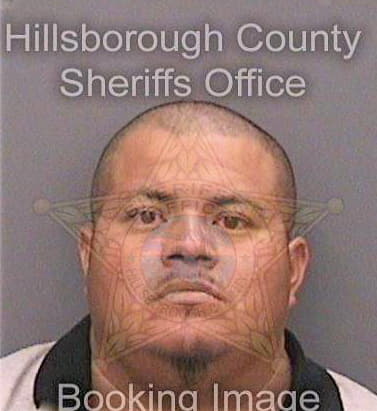 Miguel Juan - Hillsborough County, FL 