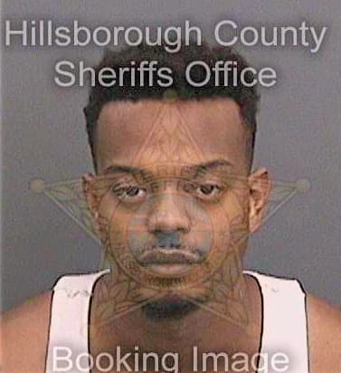 Gonzalez Adenawer - Hillsborough County, FL 