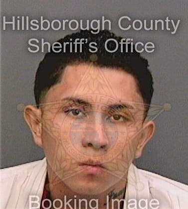 Juarez Alonzo - Hillsborough County, FL 