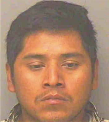 Reynoso-Martinez Cirilo - Polk County, FL 