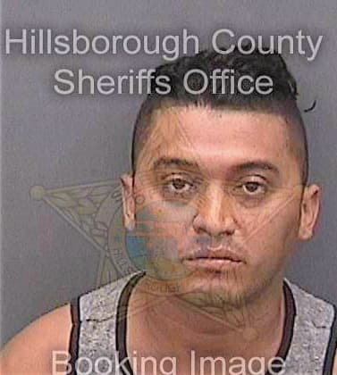 Bonillaizaguirre Gustavo - Hillsborough County, FL 