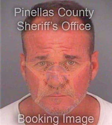 Ginley Sean - Pinellas County, FL 