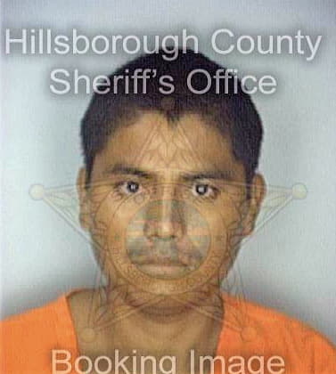 Ramirez Erminio - Hillsborough County, FL 