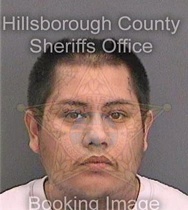 Castillo Ricky - Hillsborough County, FL 