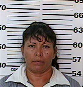 Montes Elvira - Hidalgo County, TX 