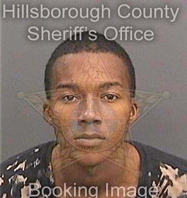 Singletary Craig - Hillsborough County, FL 