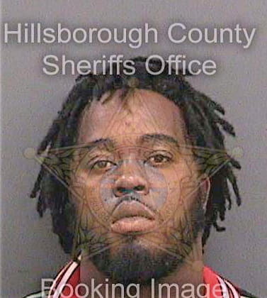 Levison Demetrius - Hillsborough County, FL 