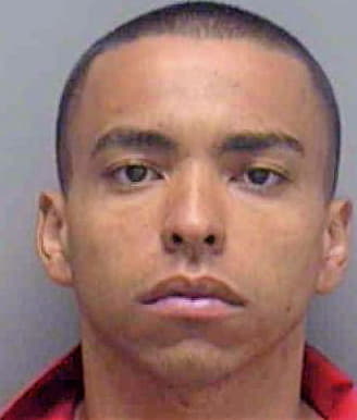 Garrido Nelson - Lee County, FL 