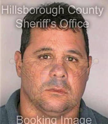 Mercado Shawn - Hillsborough County, FL 