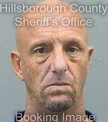 Linley John - Hillsborough County, FL 