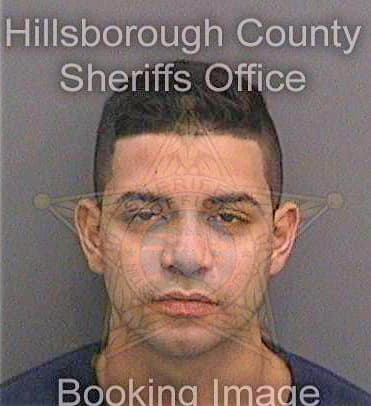 Tavares Matheus - Hillsborough County, FL 