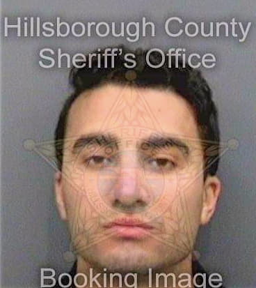 Elhelw Ahmed - Hillsborough County, FL 