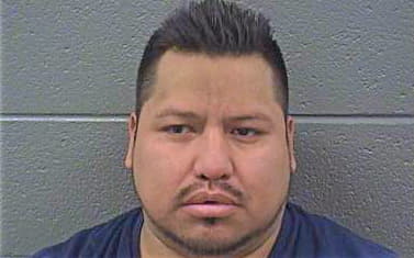 Gonzales Favio - Cook County, IL 