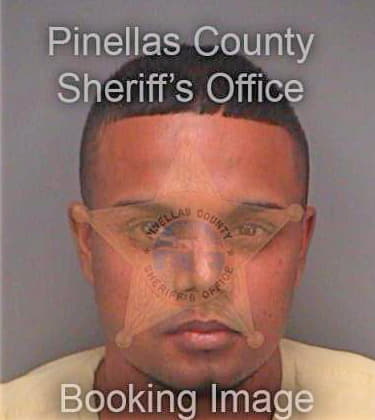 Persaud Marcus - Pinellas County, FL 