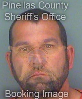 Russ Michael - Pinellas County, FL 