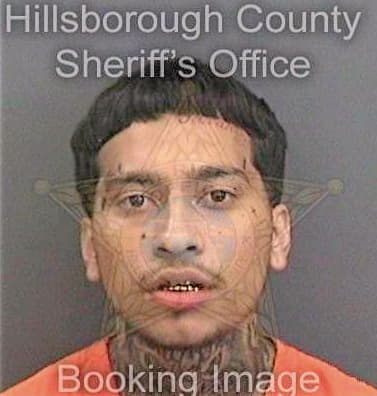 Camacho Xavier - Hillsborough County, FL 