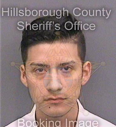 Frias Daniel - Hillsborough County, FL 