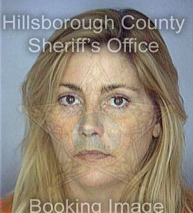 Niswander Michelle - Hillsborough County, FL 