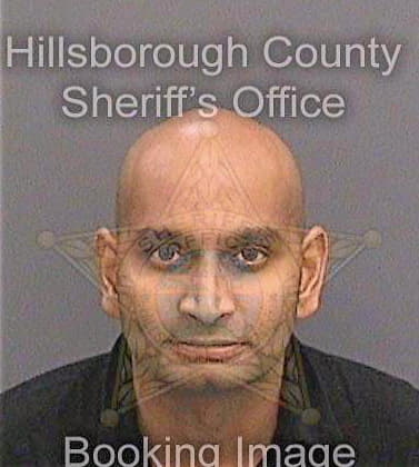 Patel Milen - Hillsborough County, FL 