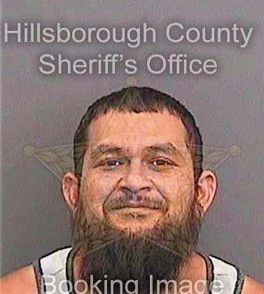 Martinezjimenez Marcelo - Hillsborough County, FL 