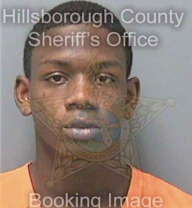 Johnson Andre - Hillsborough County, FL 