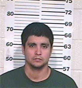 Ramirez Andy - Hidalgo County, TX 