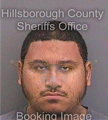 Colon Jason - Hillsborough County, FL 