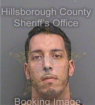 Dileonardo David - Hillsborough County, FL 