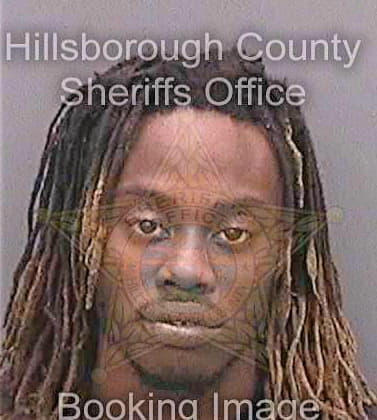 Mcneil Jerry - Hillsborough County, FL 