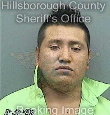 Santizlopez Pedro - Hillsborough County, FL 