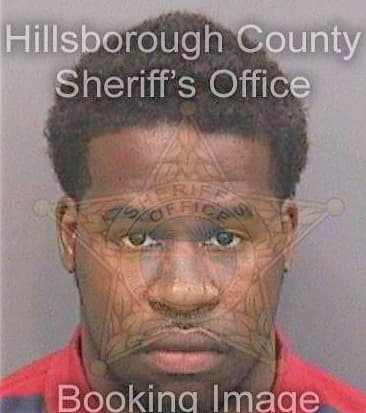 Blackmon Ainsley - Hillsborough County, FL 