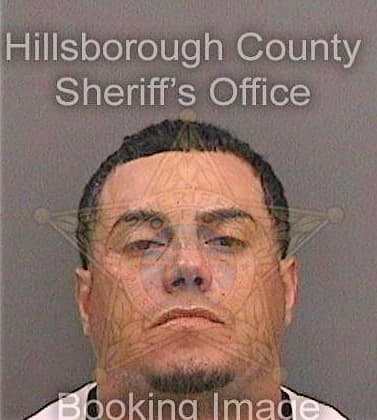 Davilatorres Luis - Hillsborough County, FL 