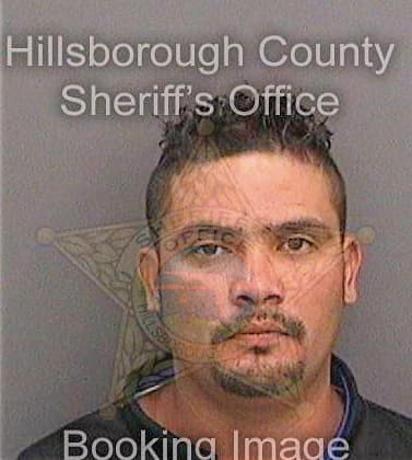 Barahonacotto Miguel - Hillsborough County, FL 