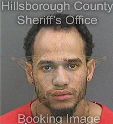 Perezlewis Paz - Hillsborough County, FL 