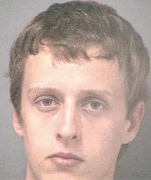 Mcinnis Aron - Hillsborough County, FL 
