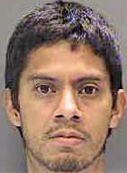 Lopez David - Sarasota County, FL 