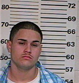 Hernandez David - Hidalgo County, TX 