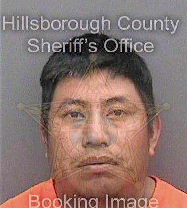 Lopezsanchez Jose - Hillsborough County, FL 