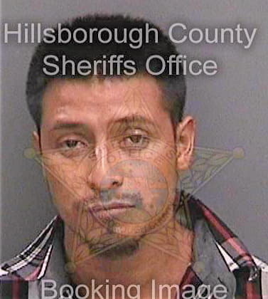 Lugo Lorenzo - Hillsborough County, FL 