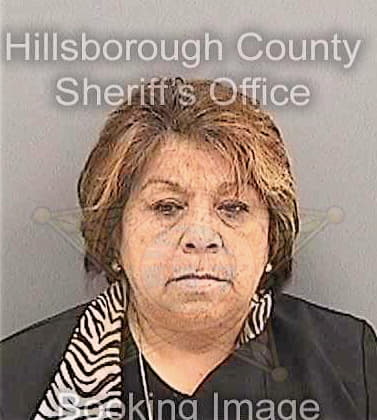 Diazguzman Rosario - Hillsborough County, FL 