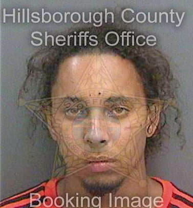 Thomas Damian - Hillsborough County, FL 