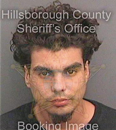 Santiago Francisco - Hillsborough County, FL 