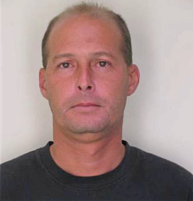 Messina Nicholas - Hillsborough County, FL 