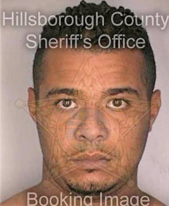 Mcintosh Thomas - Hillsborough County, FL 