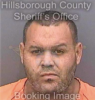 Martinezroman Marcell - Hillsborough County, FL 