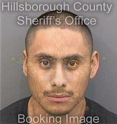 Mendez Ramon - Hillsborough County, FL 